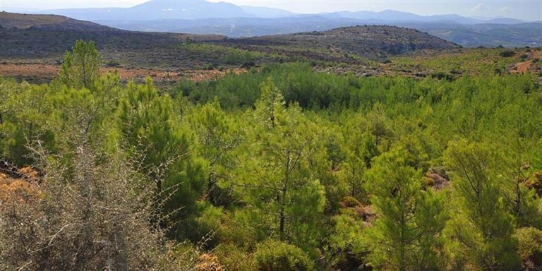 ΔΑΣΙΚΟΙ ΧΑΡΤΕΣ: Παράταση προθεσμίας υποβολής αντιρρήσεων