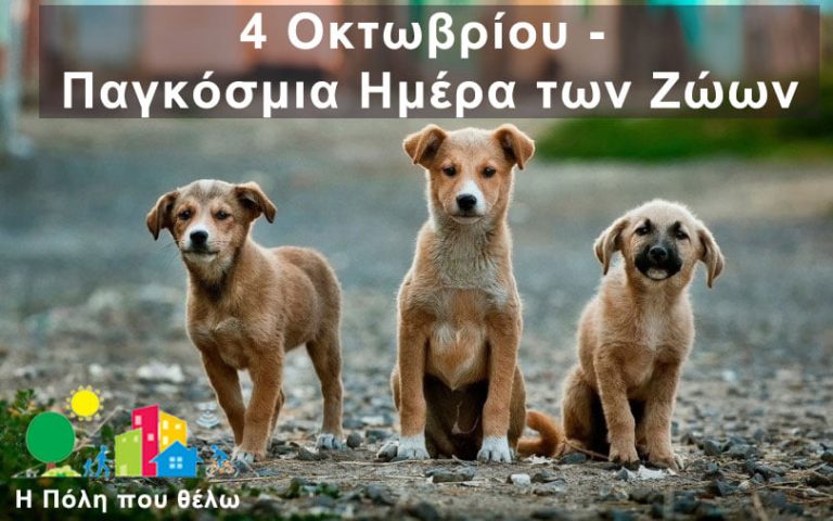 Ηλιούπολη: Το μήνυμα της παράταξης “Η Πόλη που θέλω” – Γαβριήλ Αραμπατζή για την Παγκόσμια Ημέρα των Ζώων.