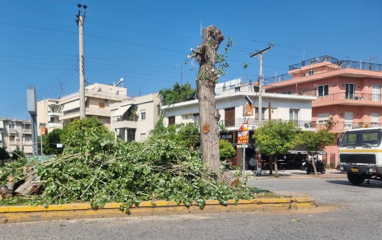 Αραμπατζής Γαβριήλ: Απογοητευτική αντιμετώπιση του αστικού πράσινου. Ανάγκη για μια νέα πράσινη στρατηγική στην πόλη μας.