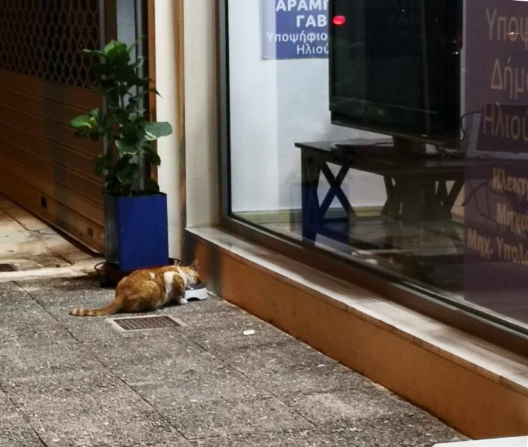 Ο άγνωστος επισκέπτης που επέλεξε το εκλογικό κέντρο του υποψήφιου δημάρχου Γαβριήλ Αραμπατζή