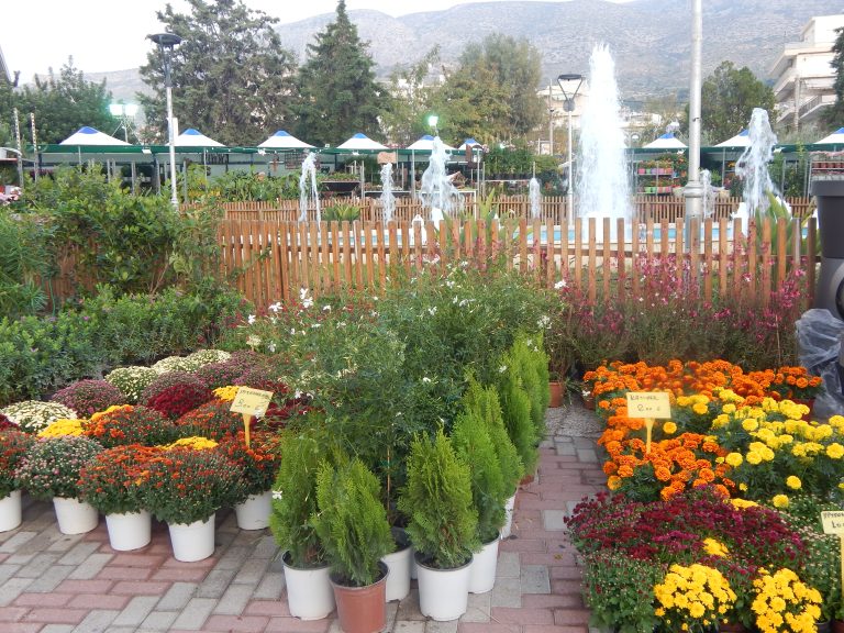 Γιορτή λουλουδιών στην Ηλιούπολη.