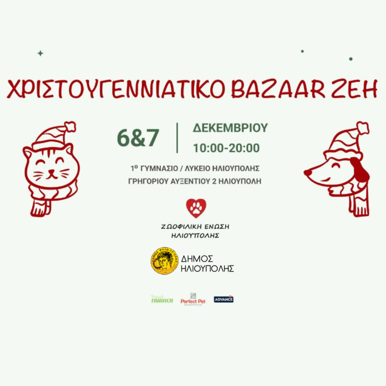 ΧΡΙΣΤΟΥΓΕΝΝΙΑΤΙΚΟ BAZAAR της Ζωοφιλικής Ένωσης Hλιούπολης (ΖΕΗ)